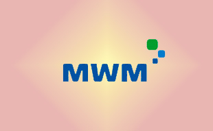 ✓ MWM 0403 1993 Запчасть MWM 